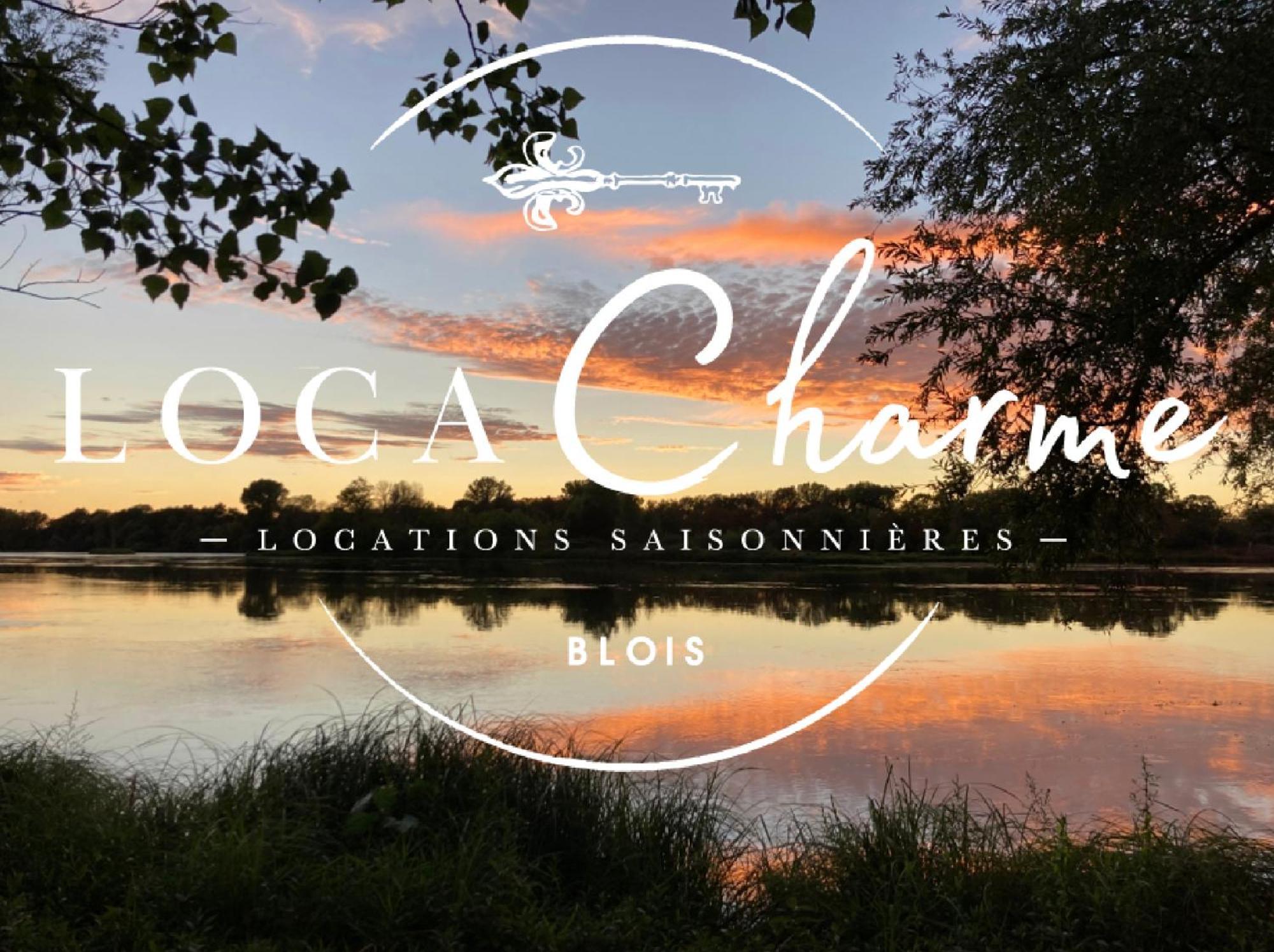 "Gite Les Futreaux" Vue Sur Loire & Linge Inclus Μπλουά Εξωτερικό φωτογραφία